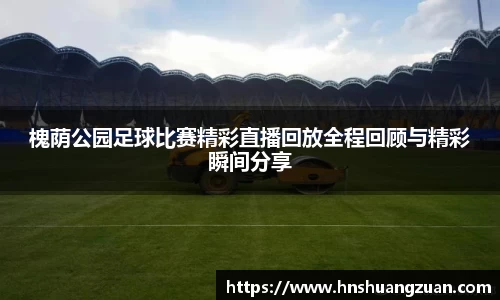 SG胜游下载