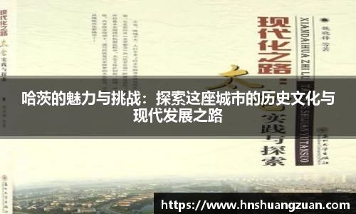 哈茨的魅力与挑战：探索这座城市的历史文化与现代发展之路