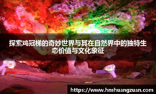 探索鸡冠梯的奇妙世界与其在自然界中的独特生态价值与文化象征