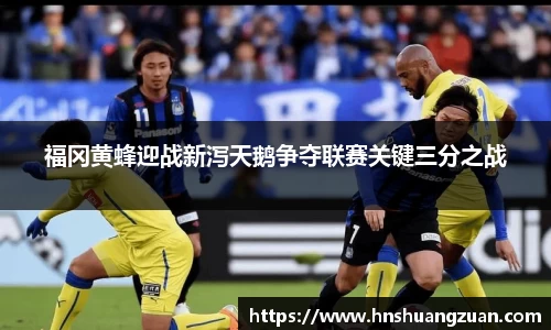 福冈黄蜂迎战新泻天鹅争夺联赛关键三分之战